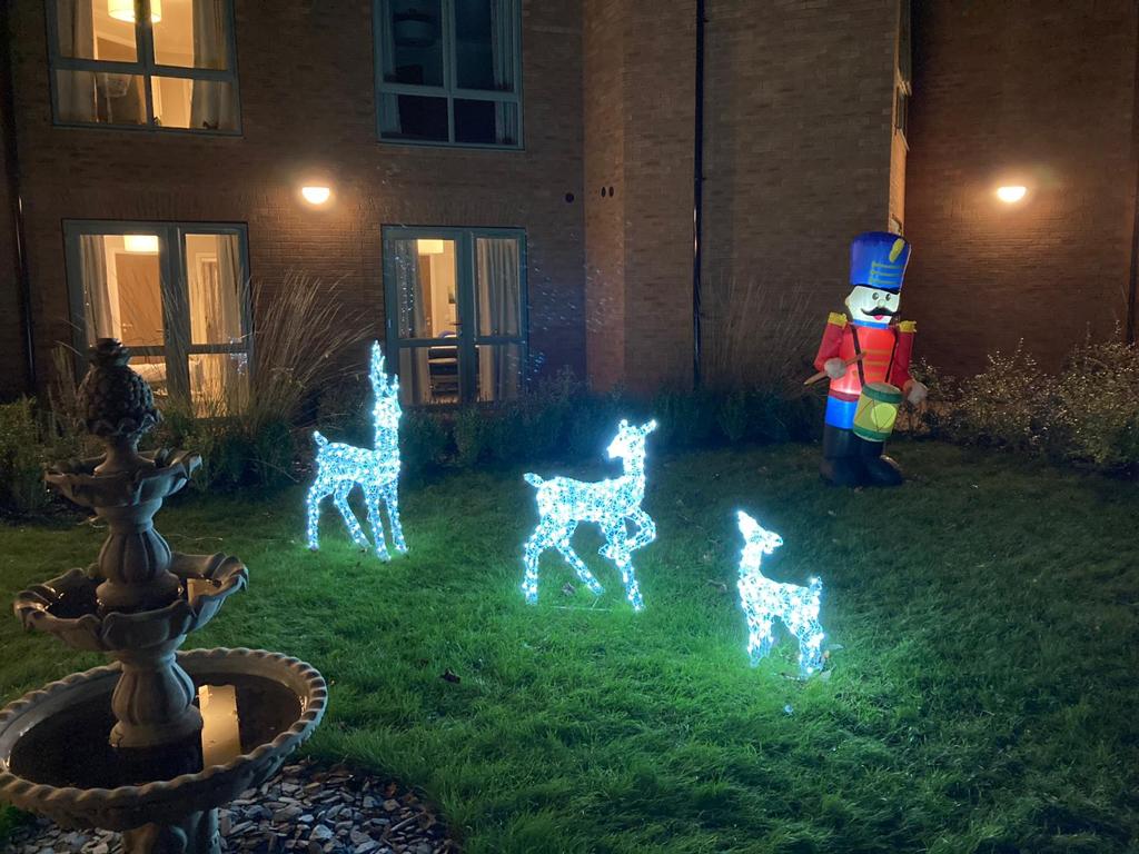 Christmas lights at Brampton Manor