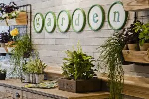 The Burlington thumb item #8