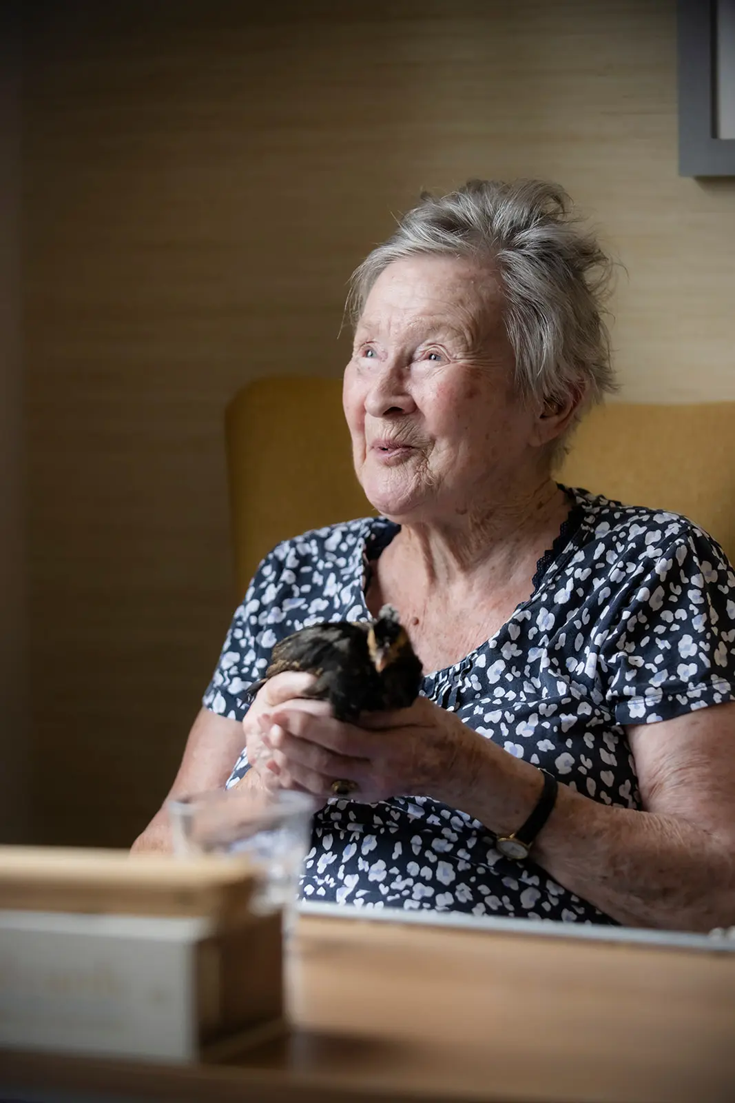 Step 6 – Move In Day