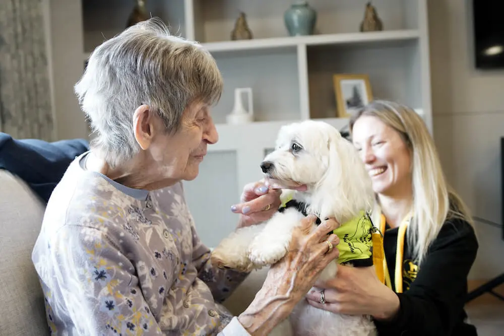 Lasting Power of Attorney Explained: A Guide for Families