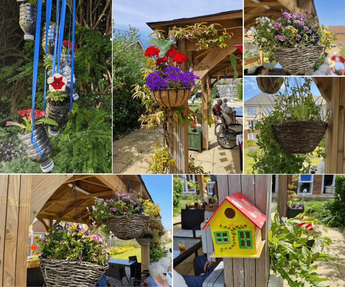 Boutique Care Homes Summer Competition Winners Announced!