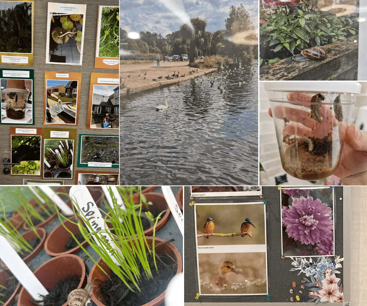 Boutique Care Homes Summer Competition Winners Announced!