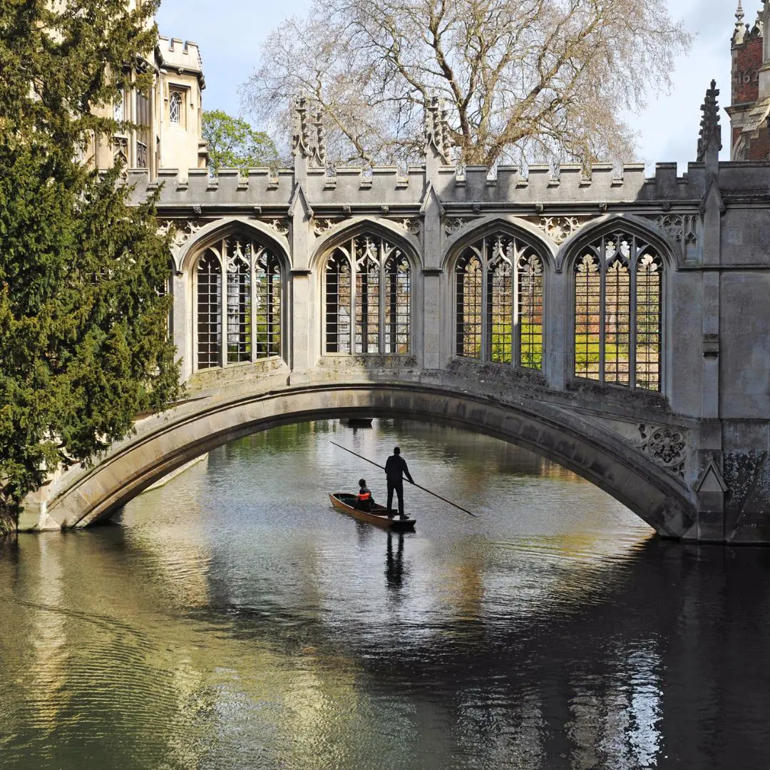 Why Choose Our Care Home for Residents in Cambridge