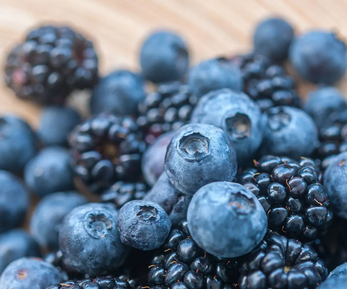 Health, Hydration and the Power of Nutrition