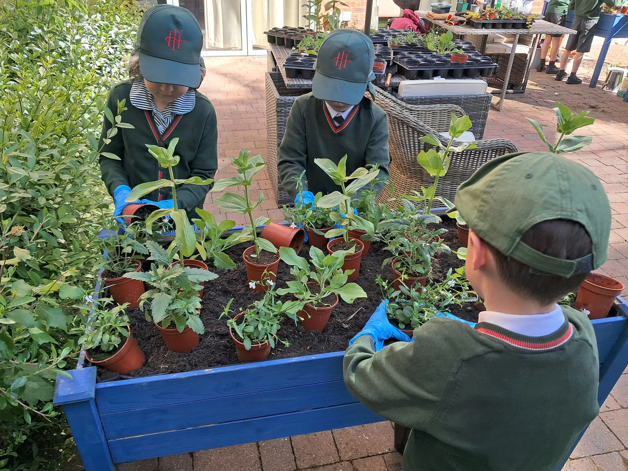 Young Gardeners Sow Seeds of Joy at Brampton Manor