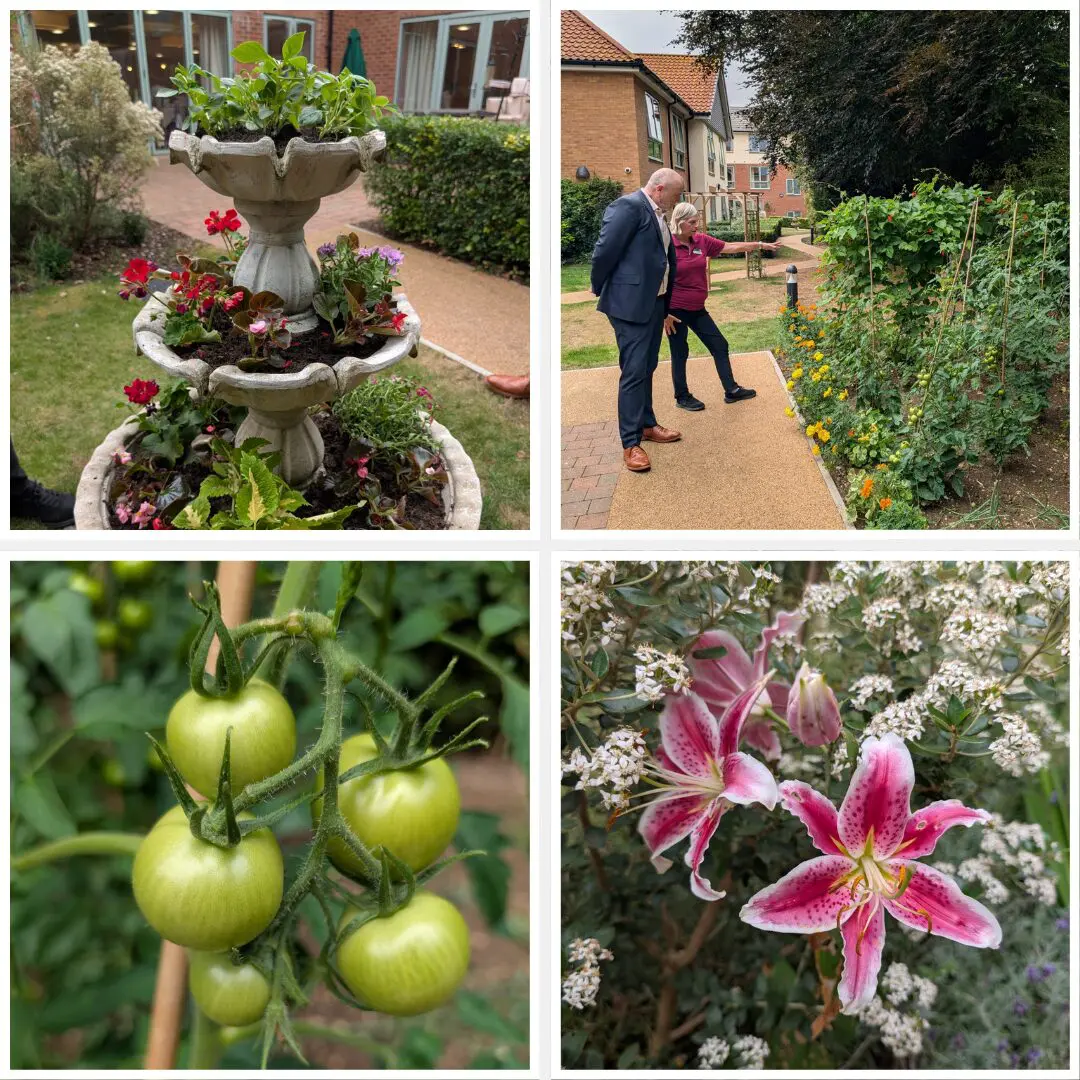Celebrating Boutique in Bloom: Our Boutique Care Home Garden Competition Winner