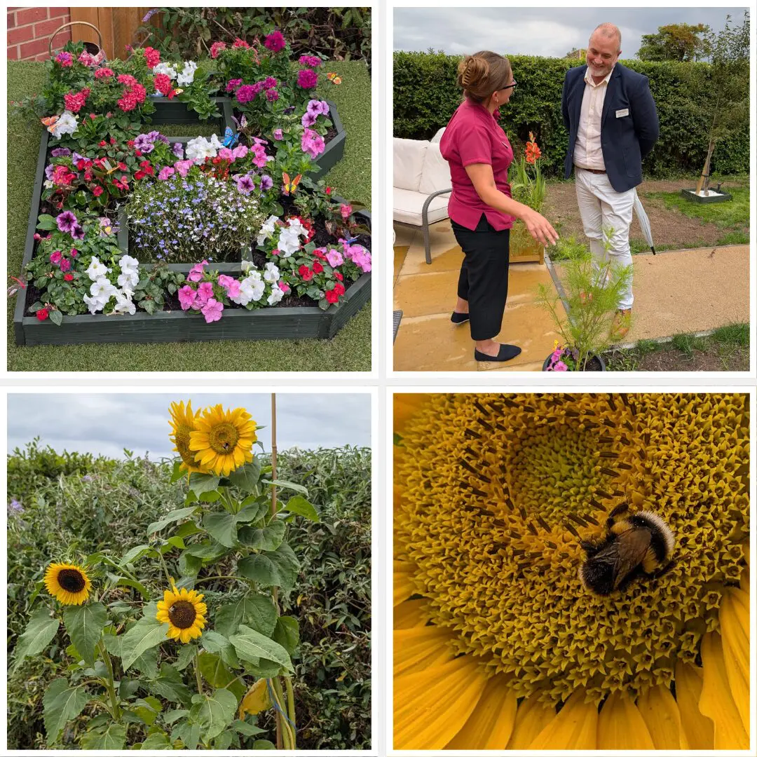 Celebrating Boutique in Bloom: Our Boutique Care Home Garden Competition Winner