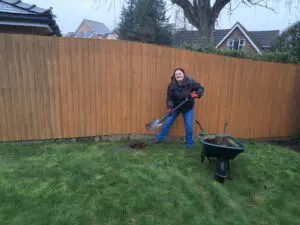 Brampton Manor Plants Community Orchard thumb item #1