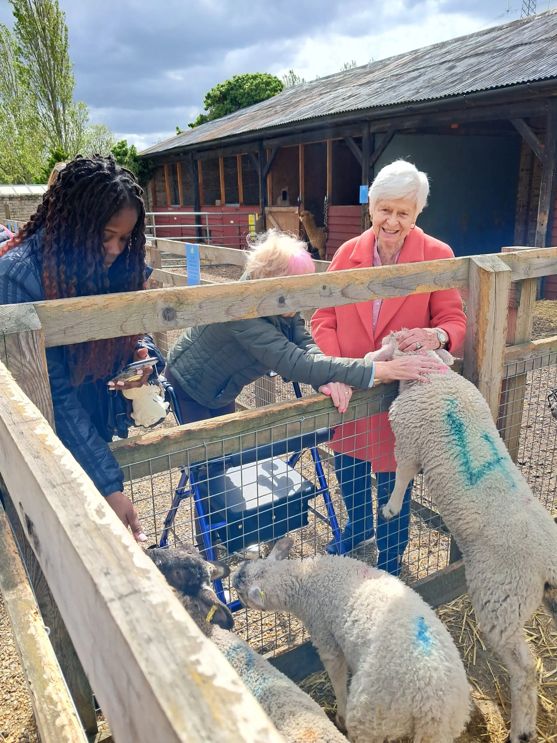Lambing season joy for Brampton Manor residents