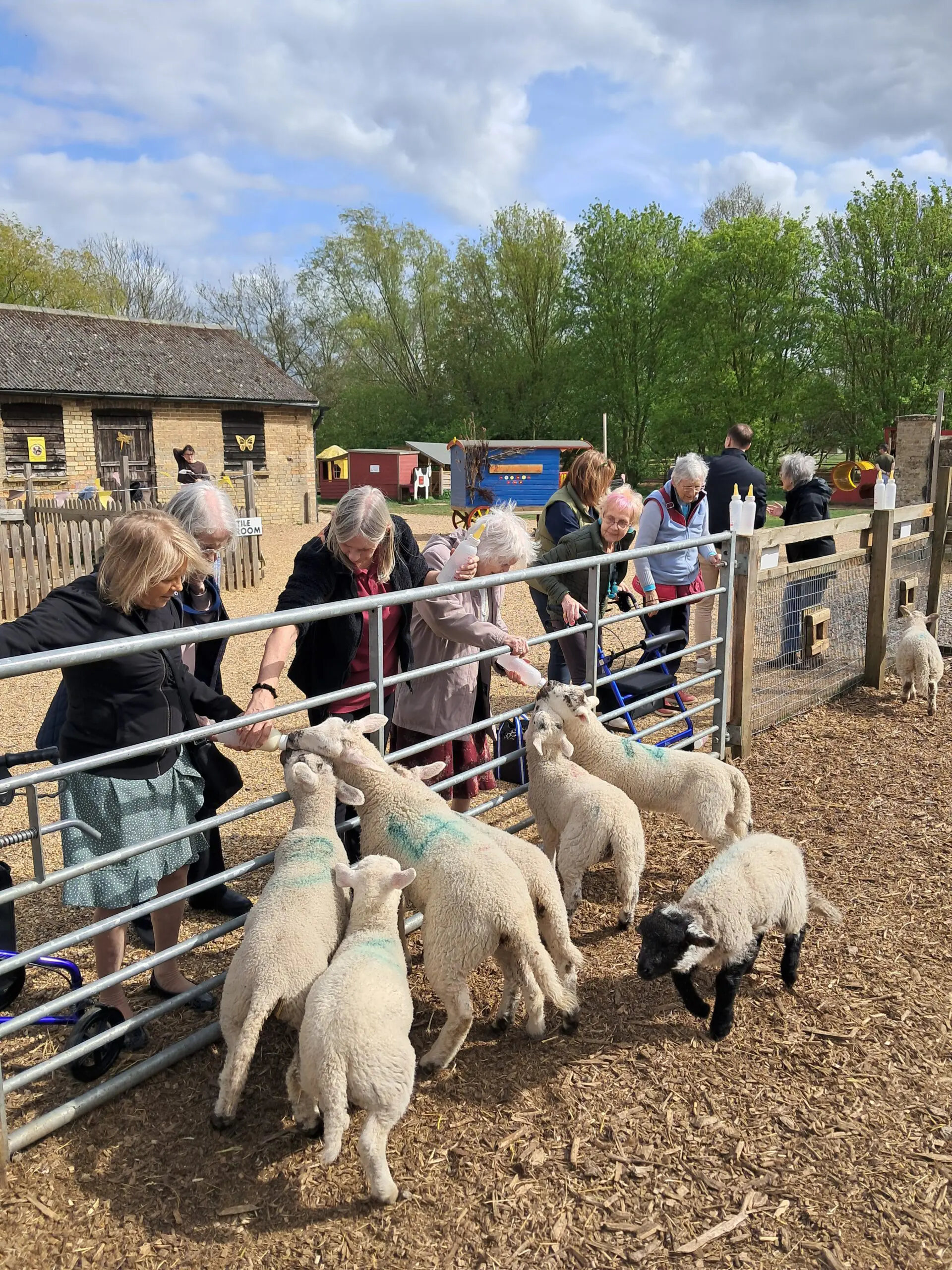 Lambing season joy for Brampton Manor residents