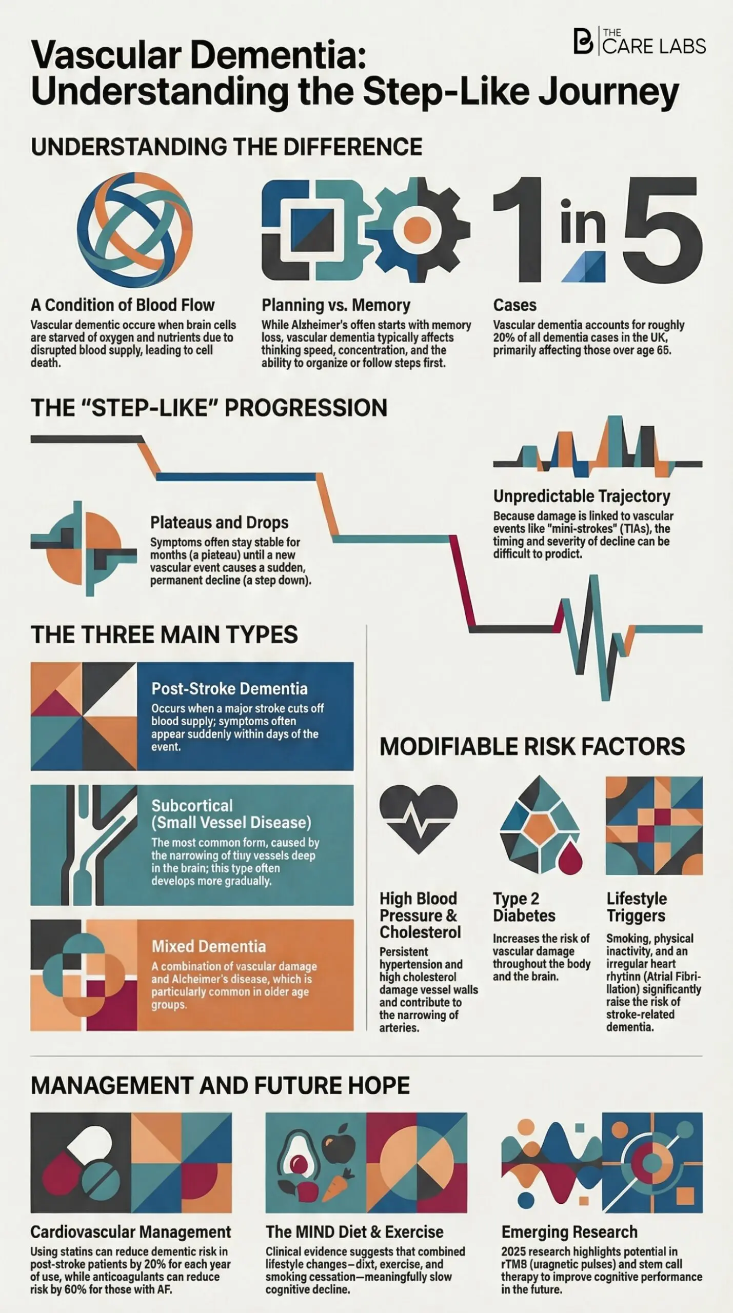 Vascular Dementia: A Visual Guide