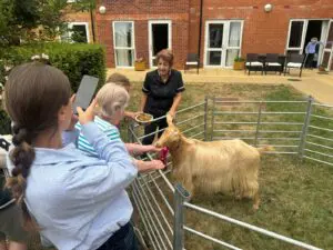 Farm Takes Over The Burlington for the School Holidays thumb item #3