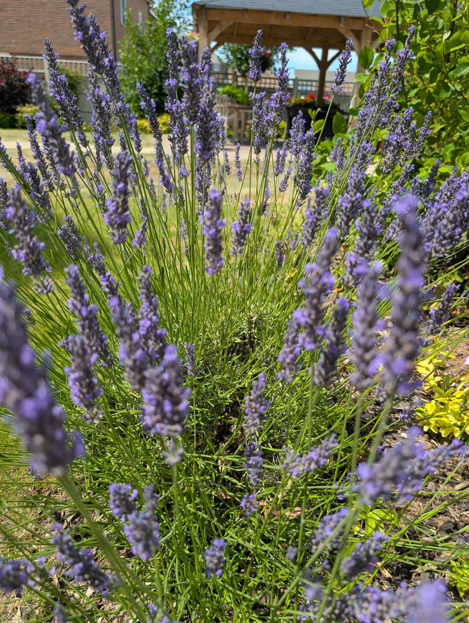 Boutique in Bloom 2026 Results Revealed gallery item #14