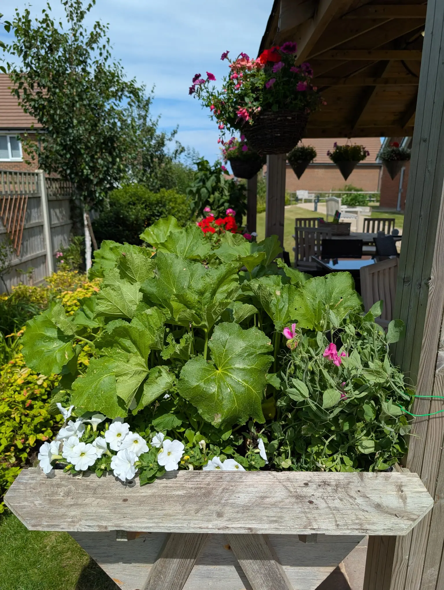 Boutique in Bloom 2026 Results Revealed gallery item #15