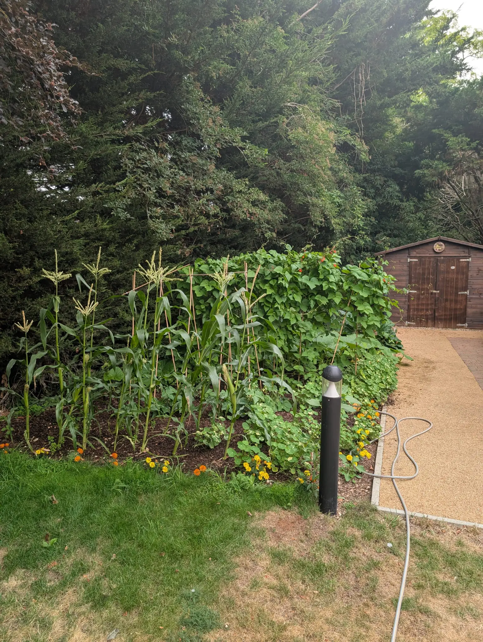 Boutique in Bloom 2026 Results Revealed gallery item #4