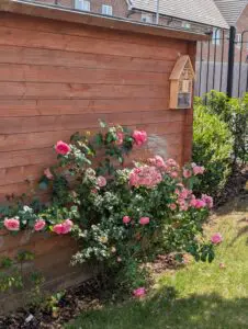 Boutique in Bloom 2026 Results Revealed thumb item #11
