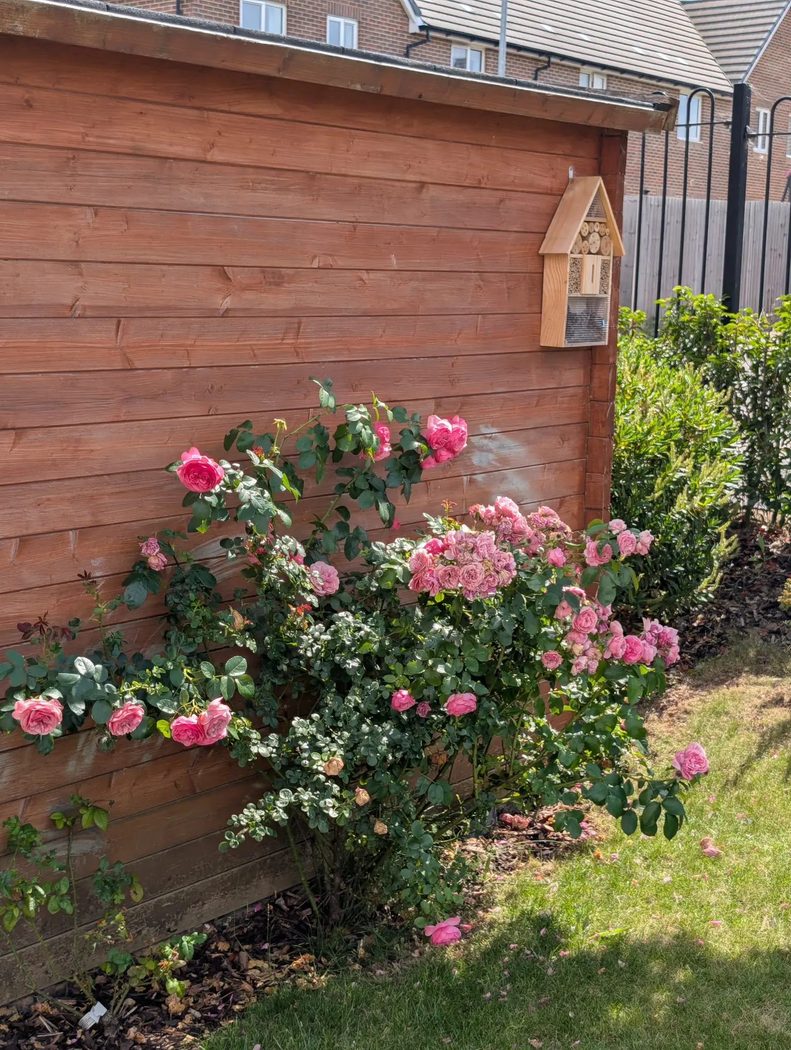 Boutique in Bloom 2026 Results Revealed gallery item #11