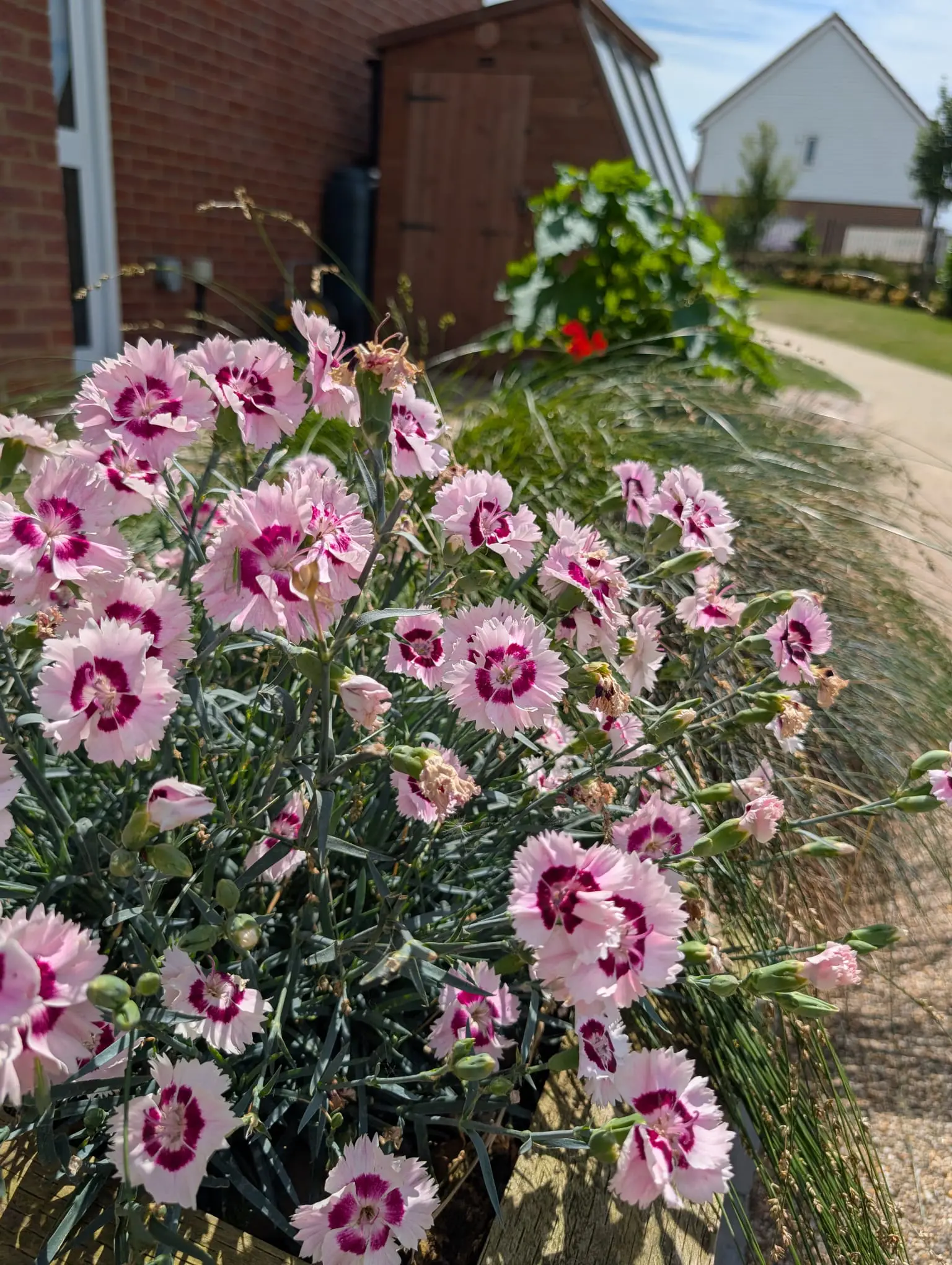 Boutique in Bloom 2026 Results Revealed gallery item #7