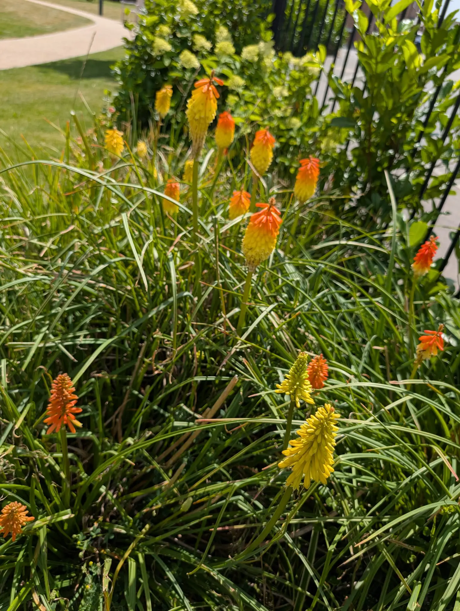 Boutique in Bloom 2026 Results Revealed gallery item #8