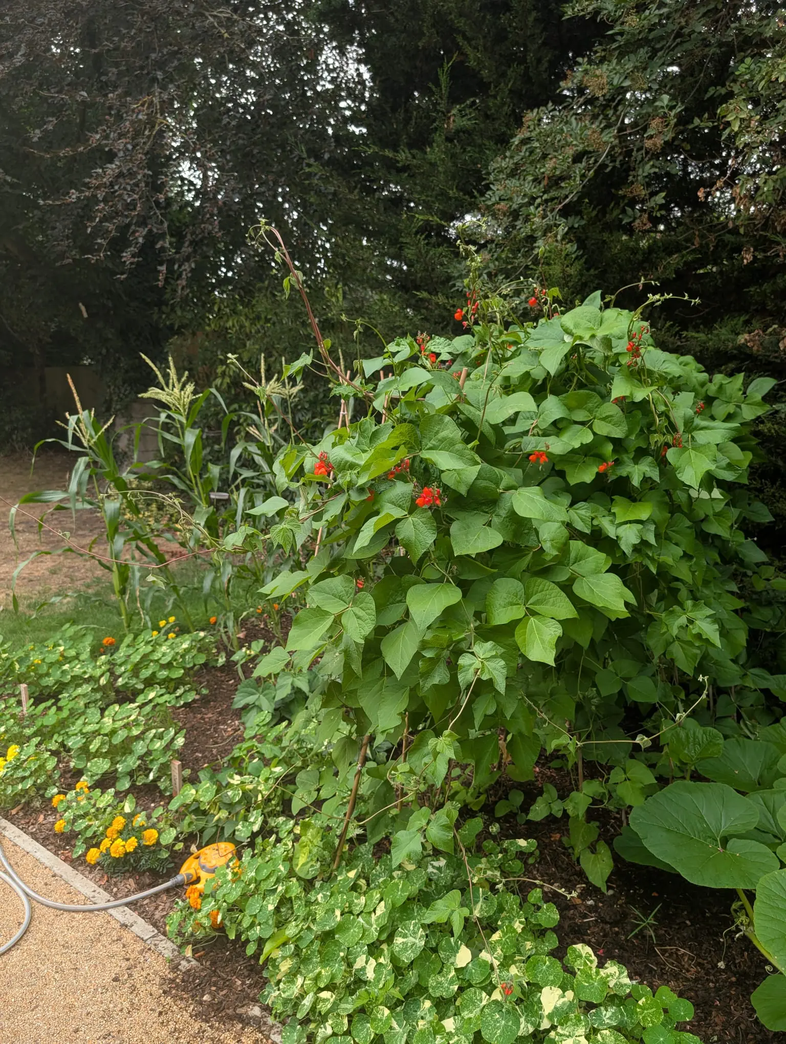 Boutique in Bloom 2026 Results Revealed gallery item #5